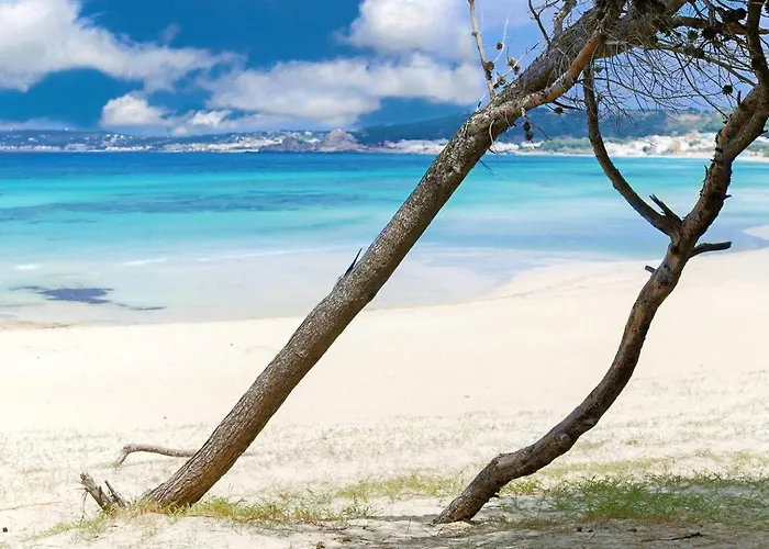 Apulia By Amarena Collection דירה